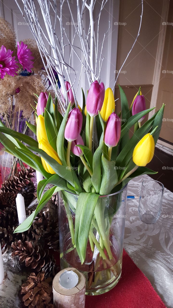 Easter, Tulip, No Person, Bouquet, Flower