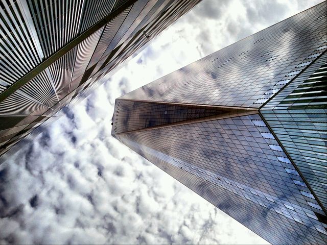 reflection