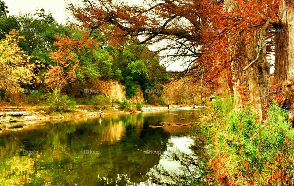 Hill Country Magic