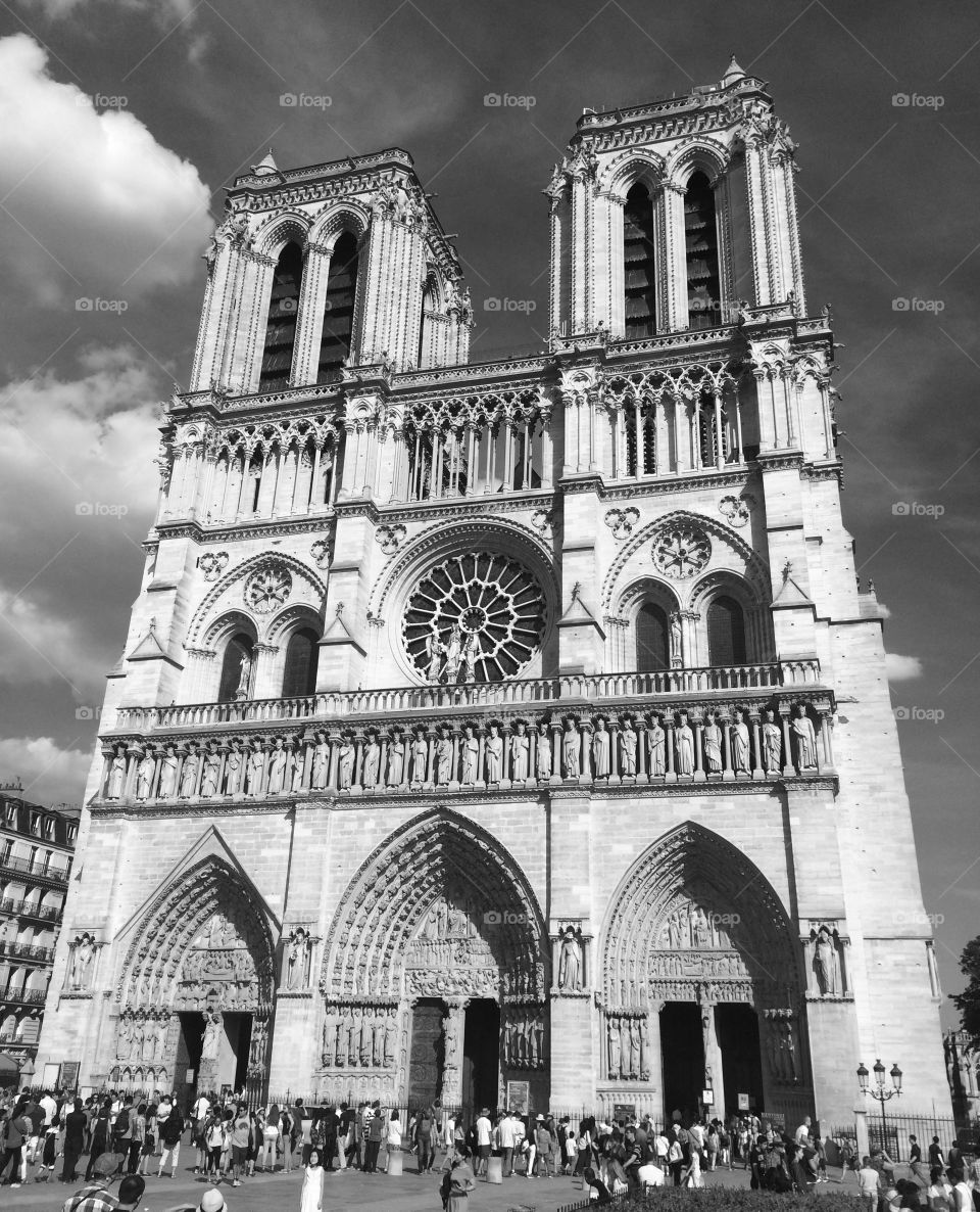 Notre Dame. I took this photo in Paris during my backpacking trip throughout Europe.