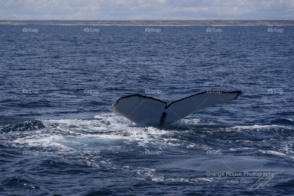 Water, No Person, Sea, Ocean, Outdoors