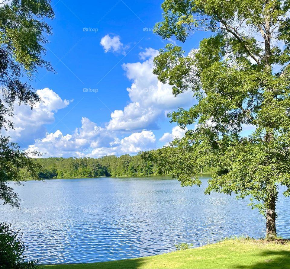 Sitting on the hill looking down on the lake with water almost as blue as the sky. Nothing but puffy white clouds, bright green foliage, and wind blowing in your hair.
