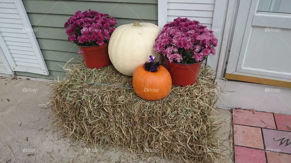 fall decorations