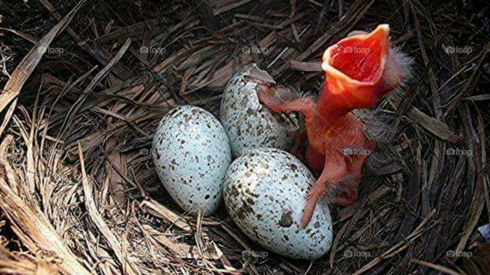 first second of life