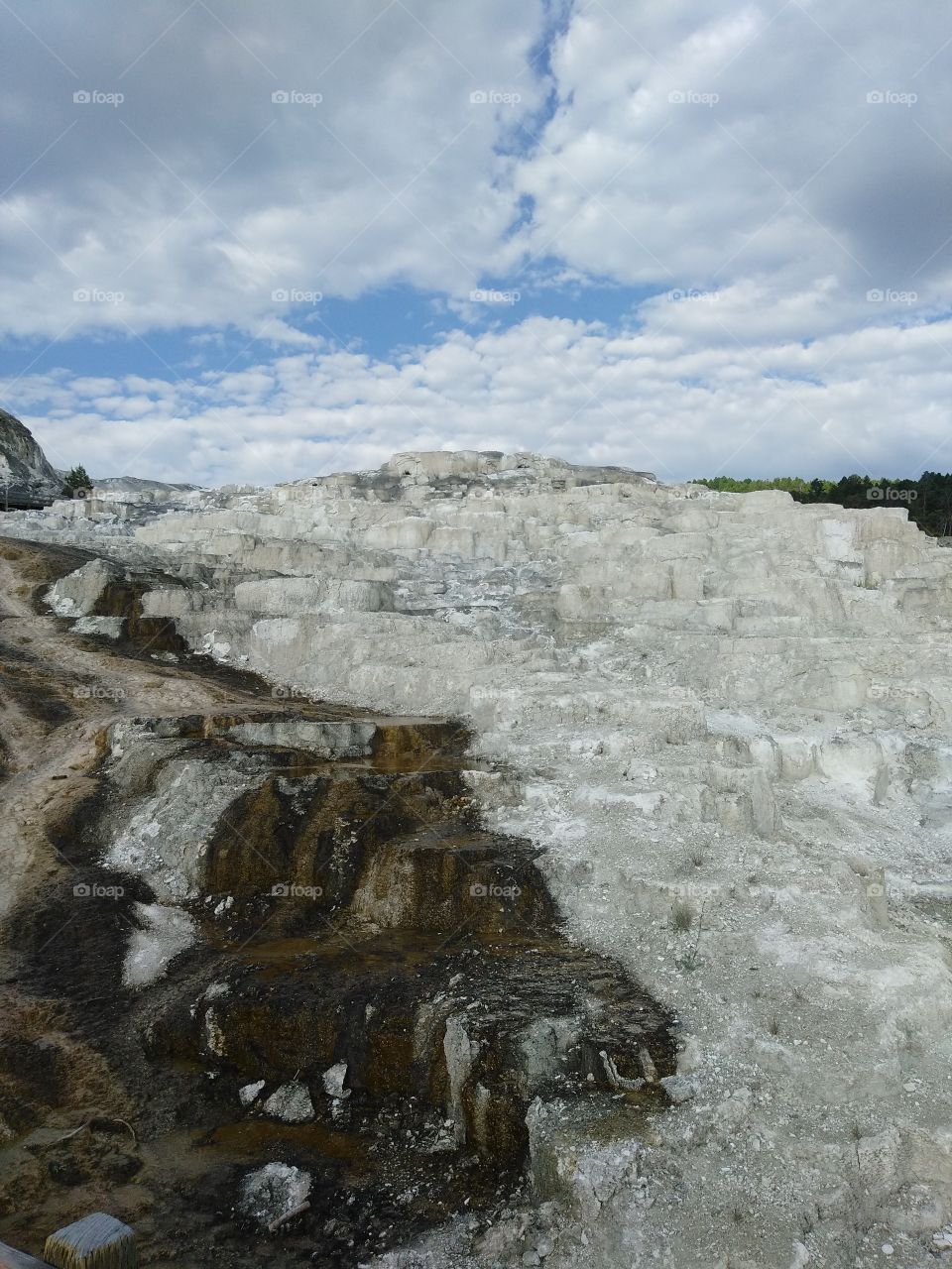 Mammoth springs