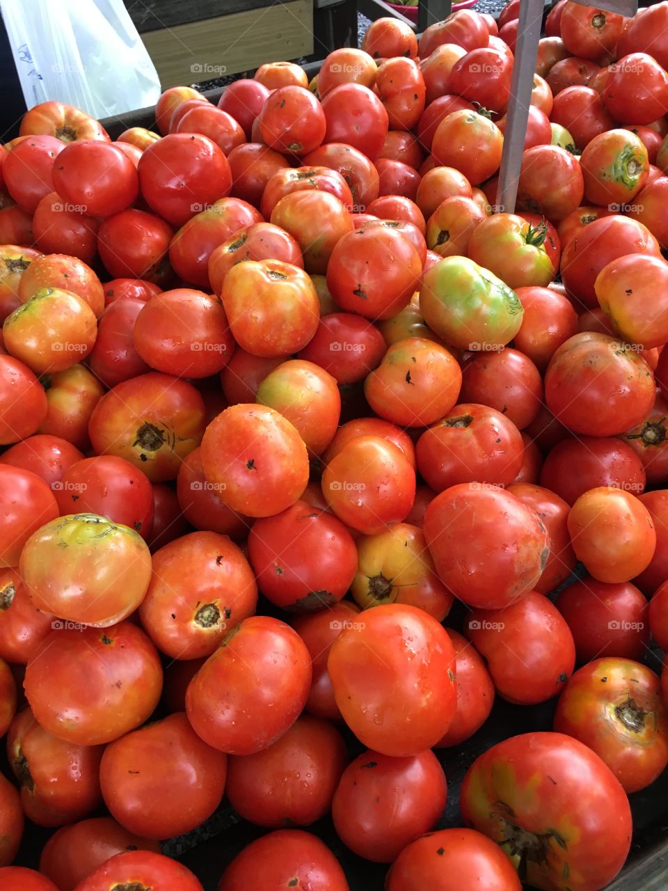 Tomato tomato 🍅
