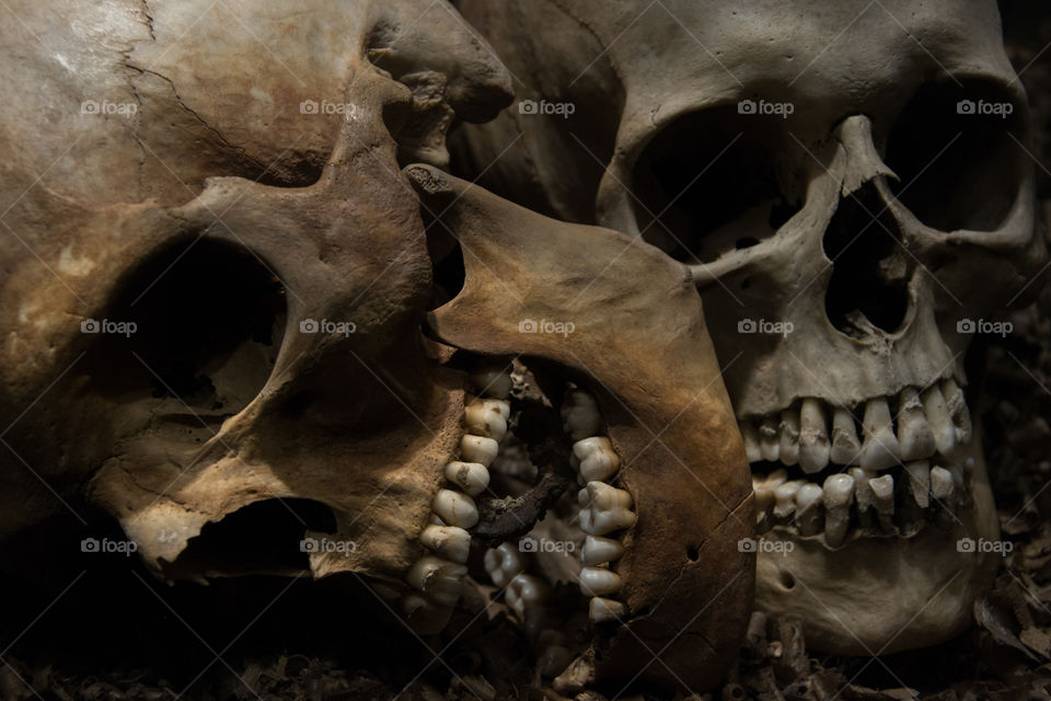 Skulls on show for the public at a local museum in Sweden.