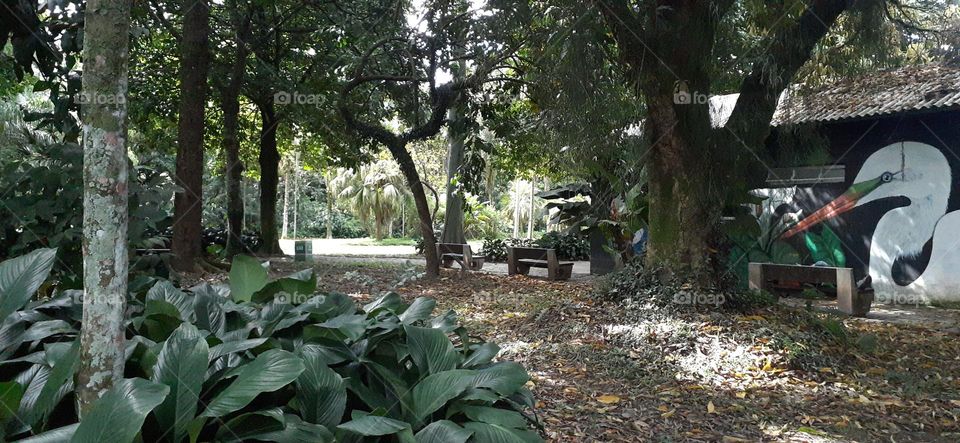 Jardim Botânico de Santos