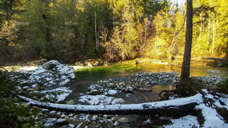 Englishman River Falls Provincial Park‚ Erington ‚BC‚ Canada