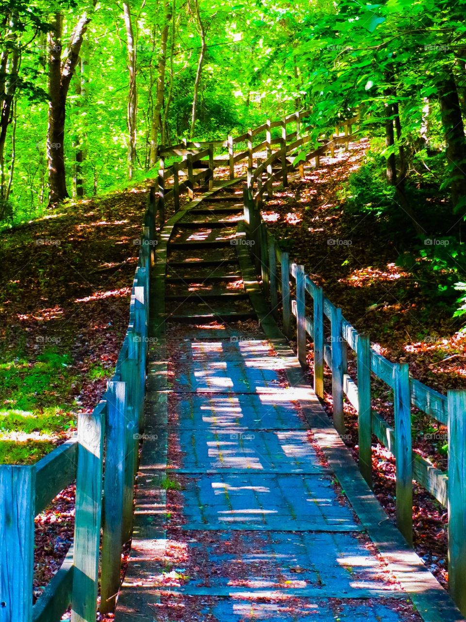 Upward Bound Trail. Hiking to the sky into a verdant forest on a upward bound trail on a summer day