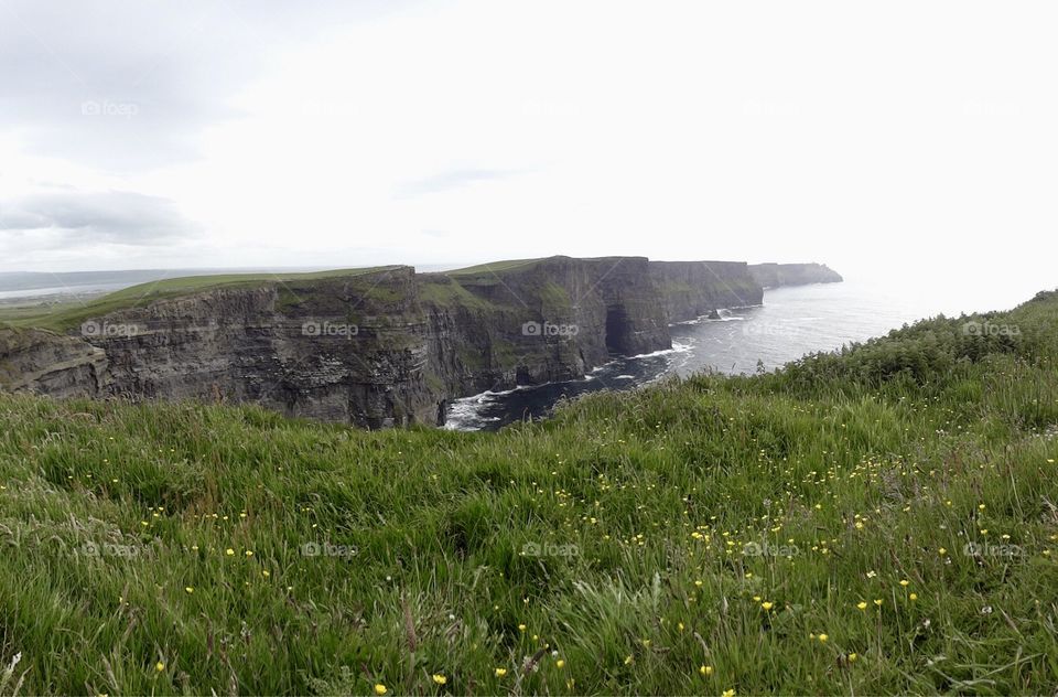 Cliffs and wildflowers