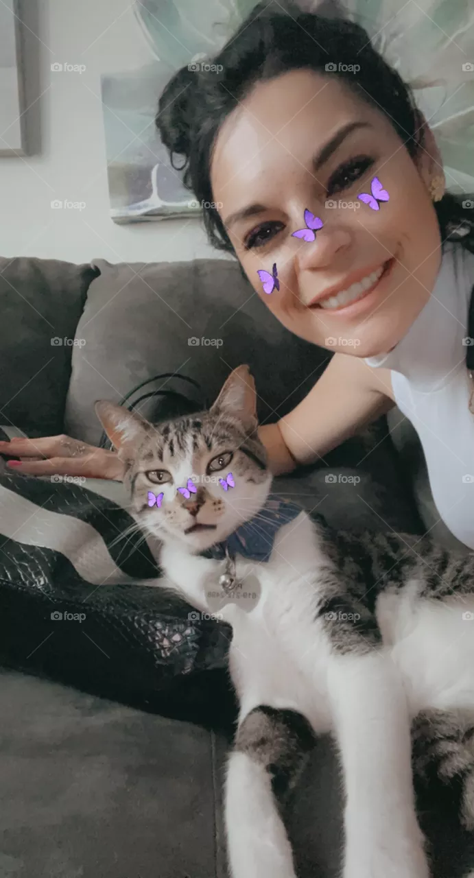 Butterfly’s cat 