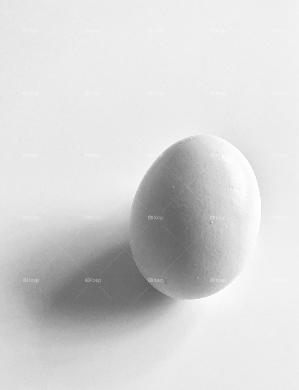 White egg on white background 