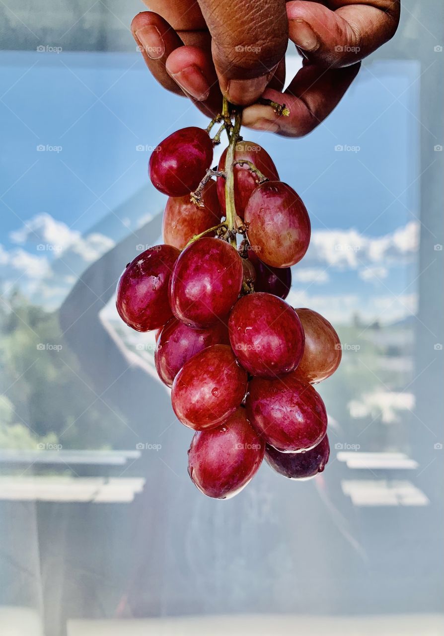 A small branch of my red grapes. Very yummy, great snack between meals. 