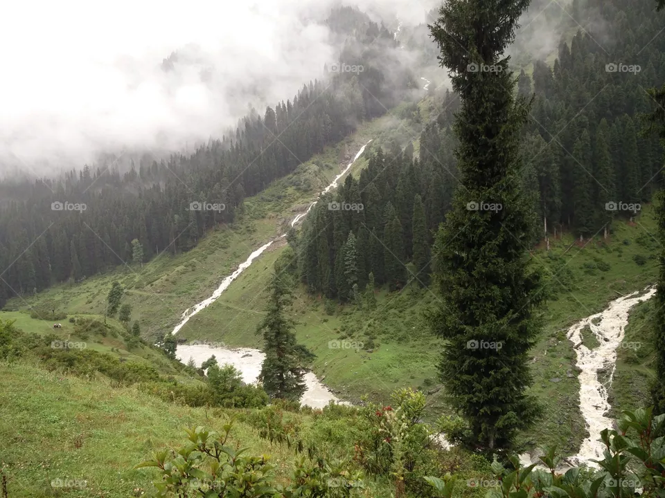 natural water fall. greenery cool environment