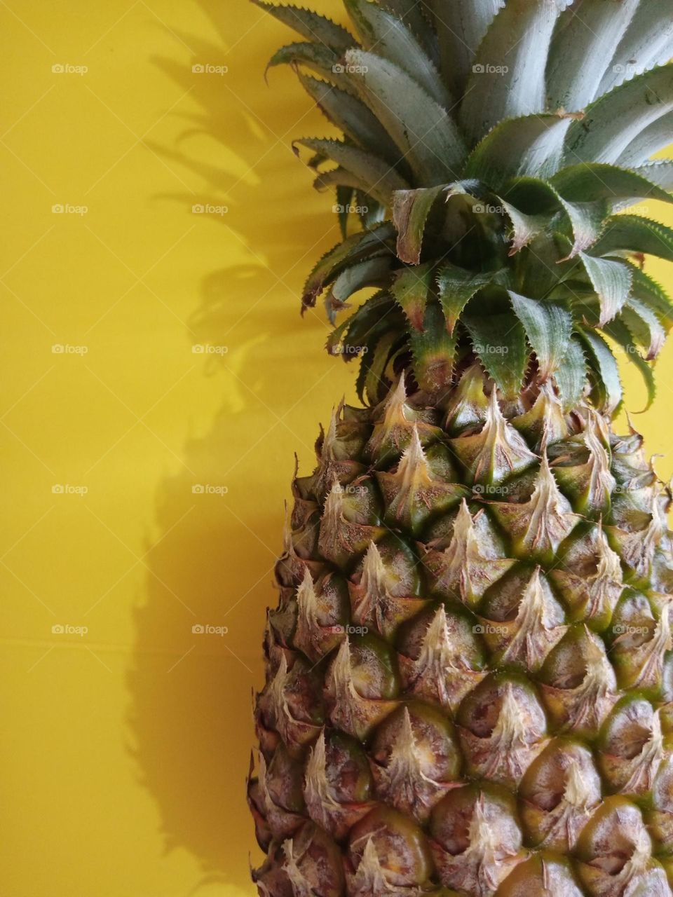 Pineapple