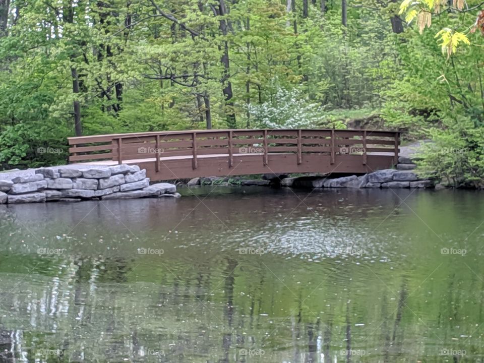 Bridge in the Park