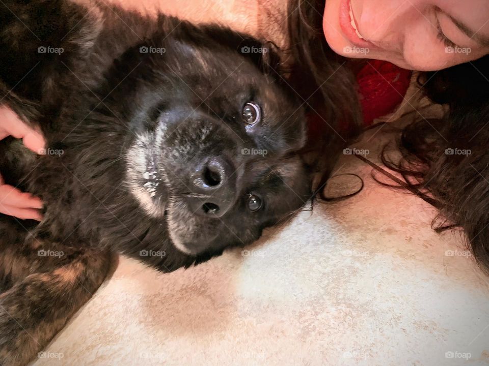 Funny dog and woman’s selfie face with the pet’s happy and excited emotional expression in its-her face, laying down on the ceramic floor.