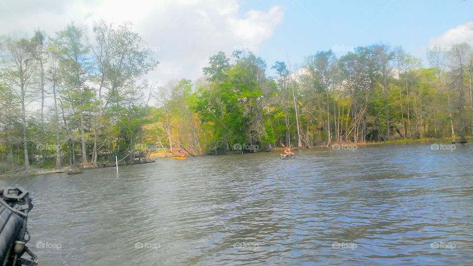 Canoeing on the bayou, Lousiana.