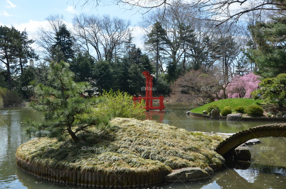 Japanese garden