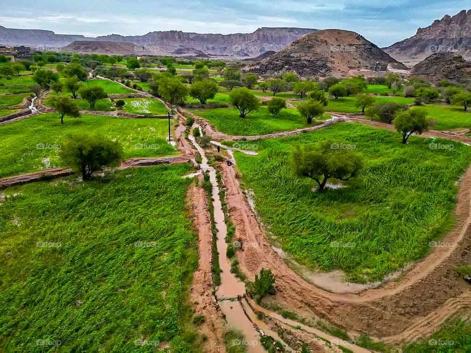 Glory be to God, the magnificent and picturesque view and the natural green trees are a view that is nothing more wonderful than it