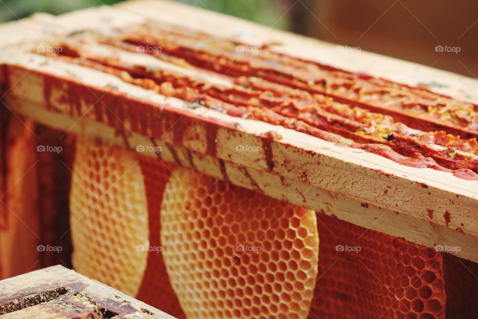 No Person, Food, Traditional, Wood, Delicious