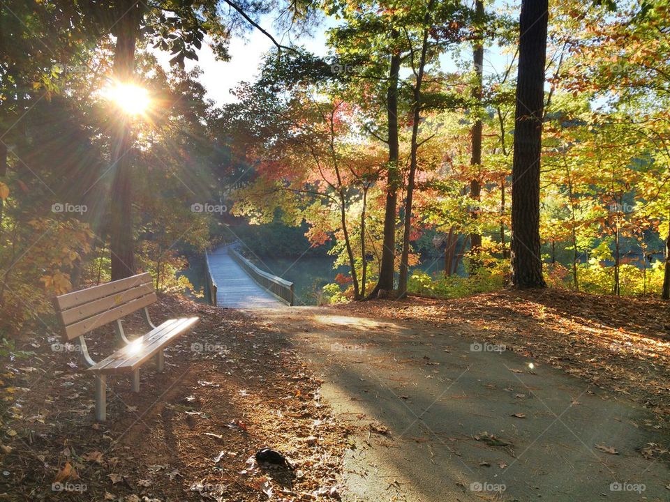 Lake Lynn Trail