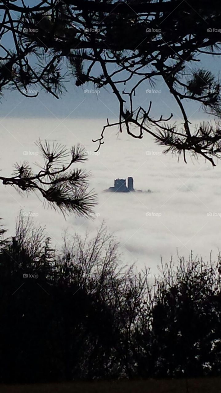 Castello nella nebbia