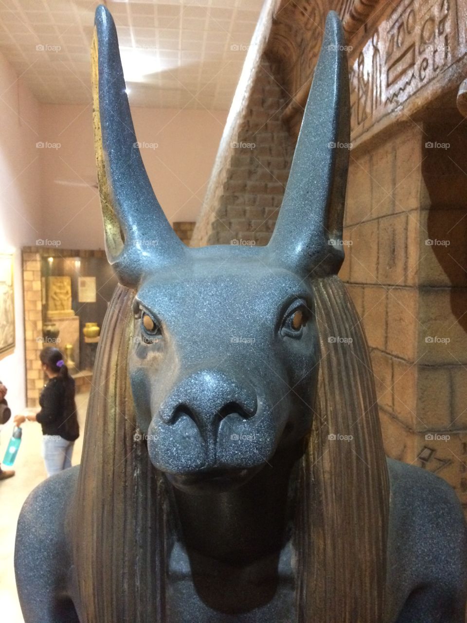 Anubis in museums 
