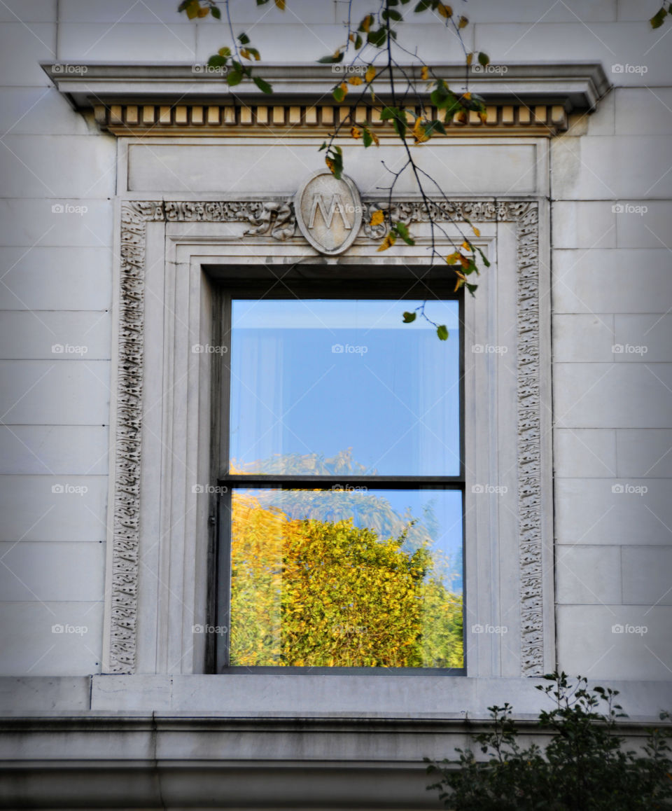 Window 