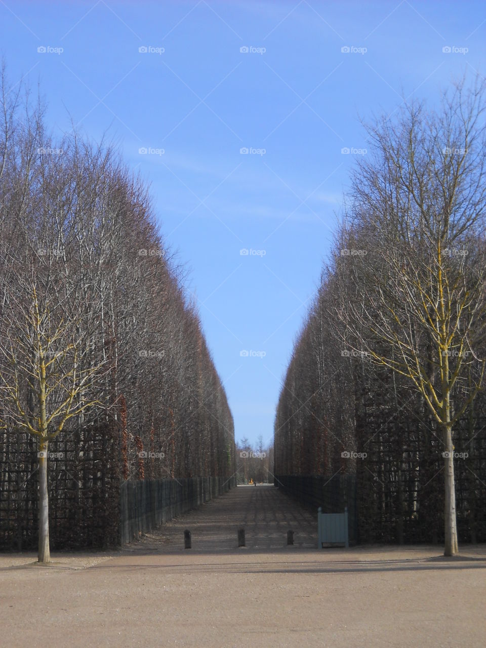 Sadness Winter. Winter at Versaille's Palace.