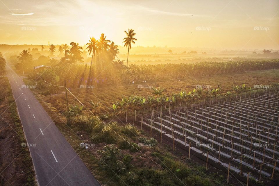 Aerial view of sunrise over the countryside village