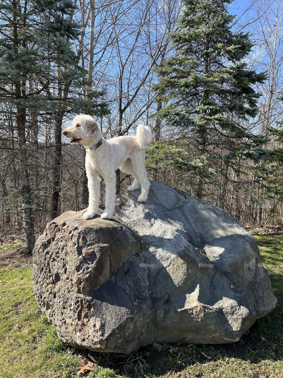 King of the mountain 