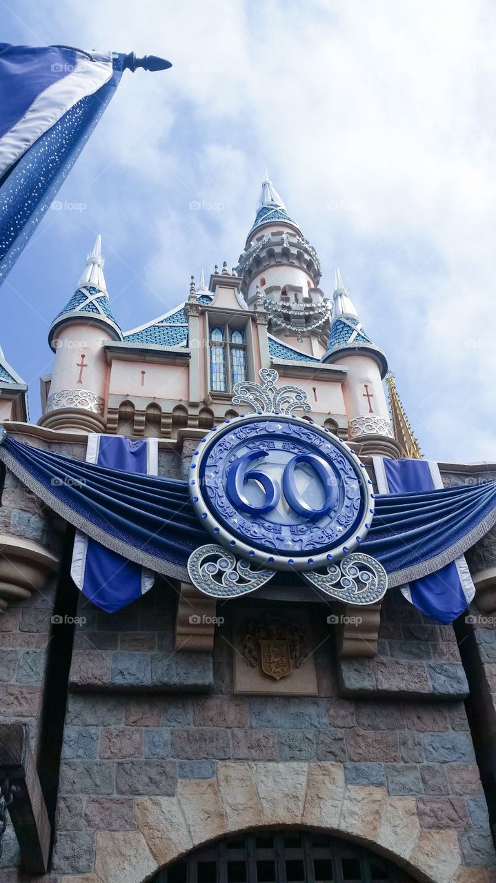 Cinderella castle Disneyland 
