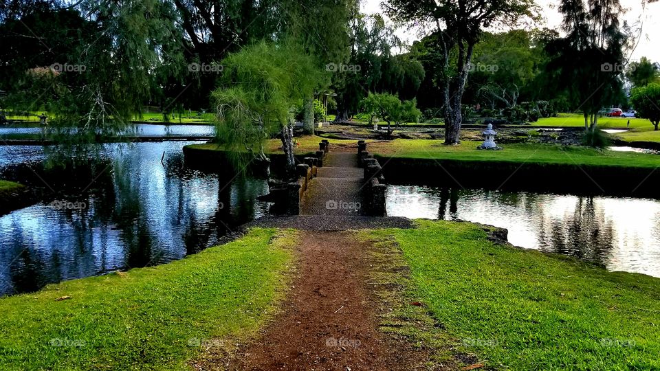 Hilo Hawai'i landscape tea garden