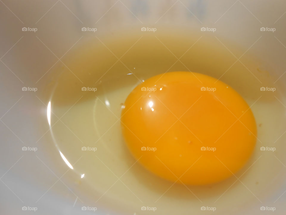 Egg Yolk