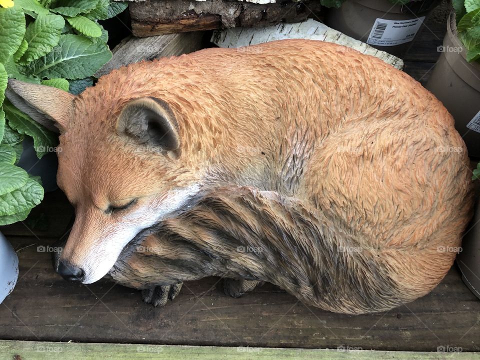 Not a real fox, but a most Impressive interpretation of a wild fox, lots of transparent features of a fox actually.