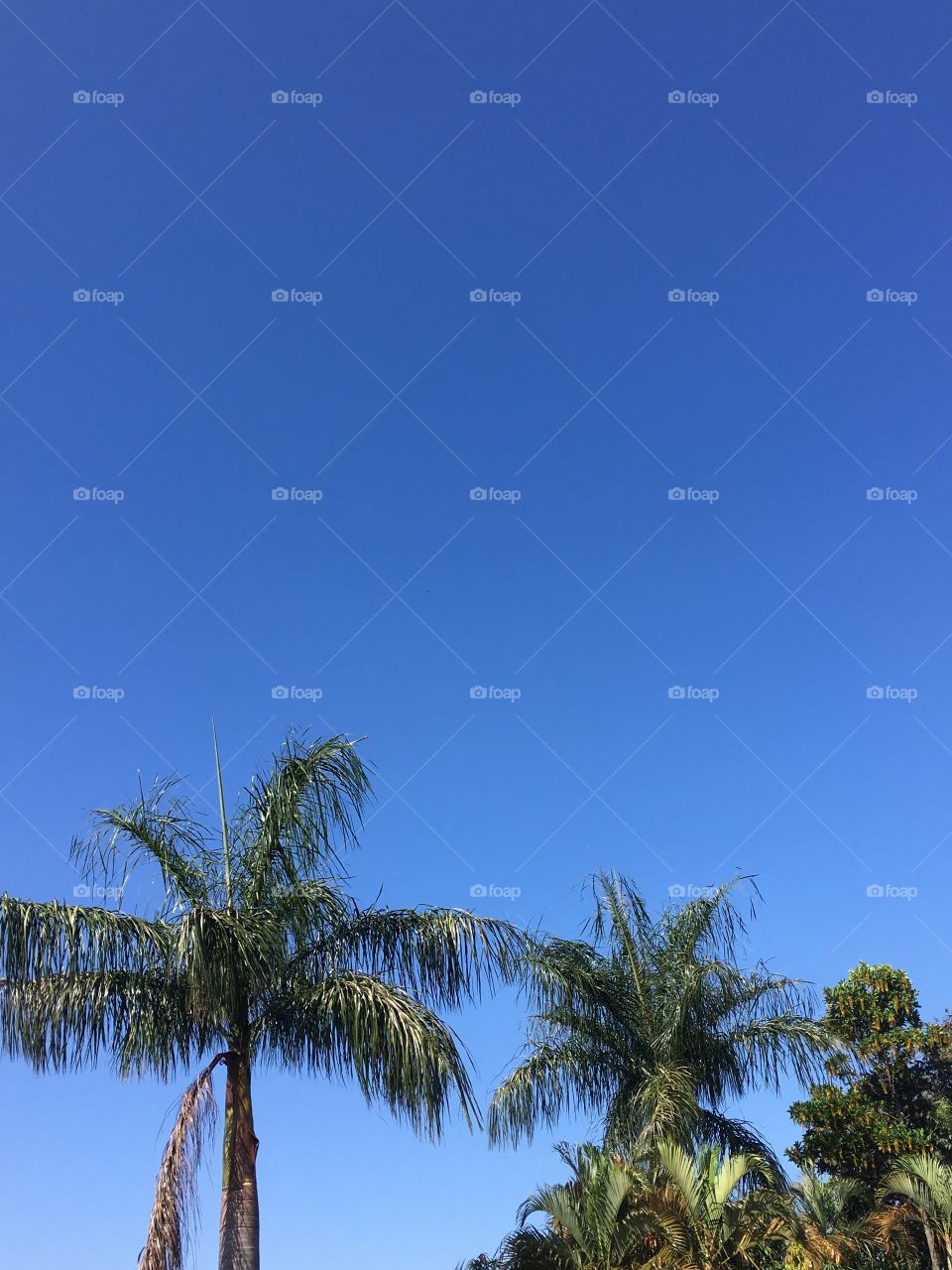 ‪Nenhuma nuvem no céu. Aliás, horizonte maravilhosamente azul!‬
‪📸‬
‪#FOTOGRAFIAéNOSSOhobby‬
‪#paisagem #inspiration #landscapes #pictureoftheday ‬