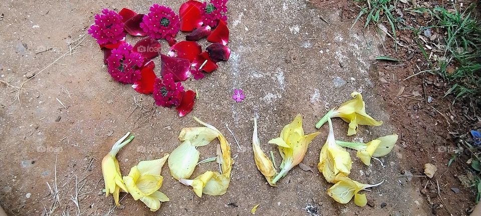 explosion of colors love