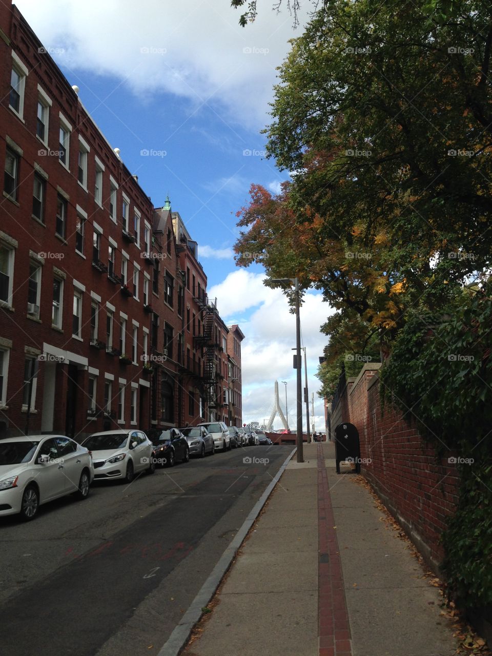 Thomson's bridge is beautiful from every perspective 