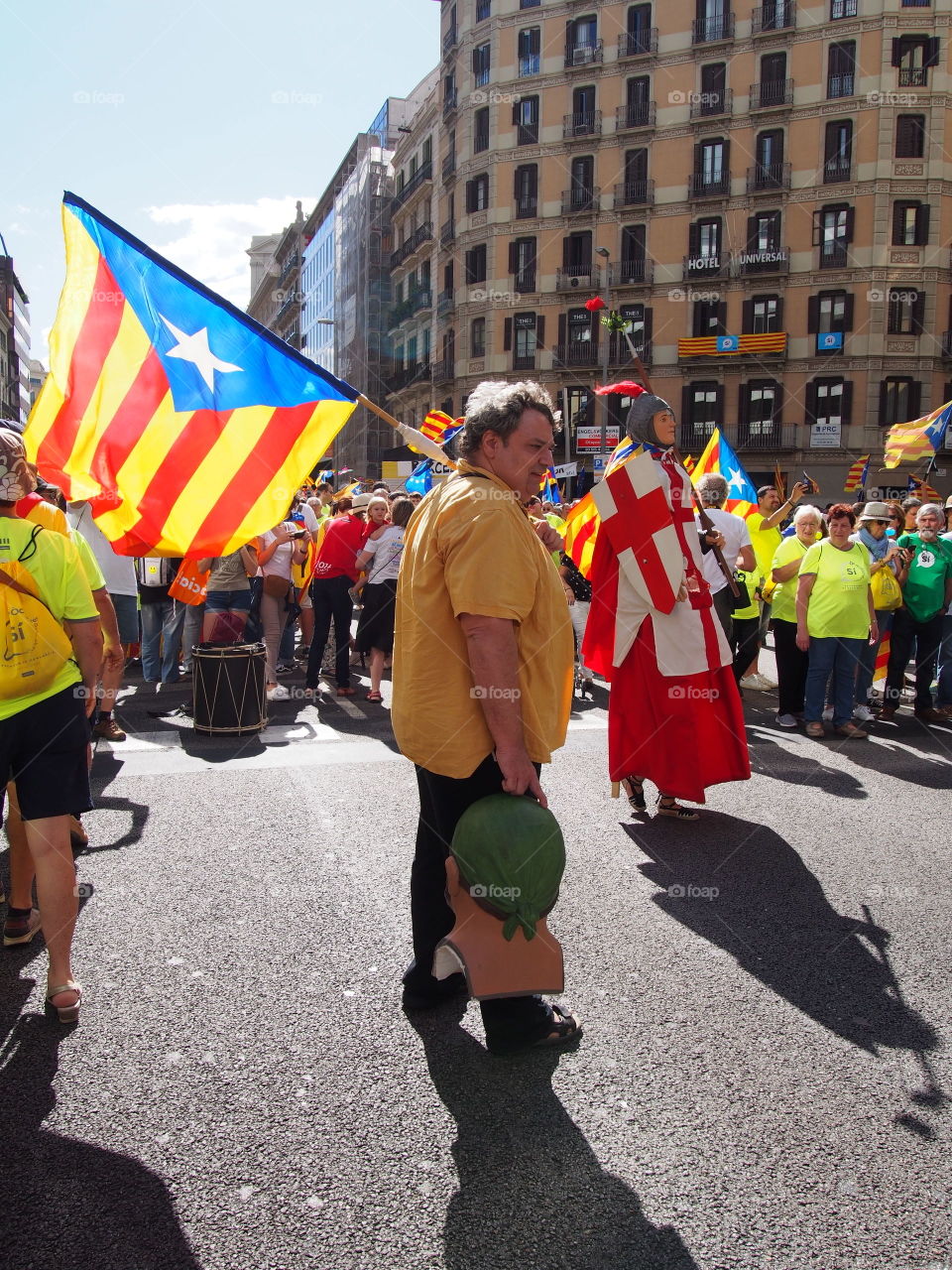 diada de Catalunya  2017