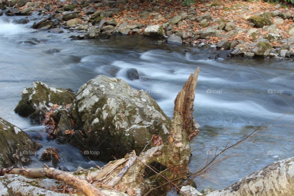 Smoky Mountain stream