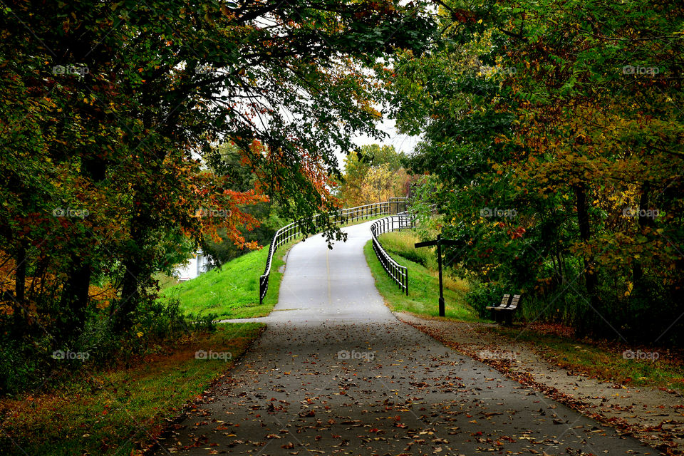 Fall trail