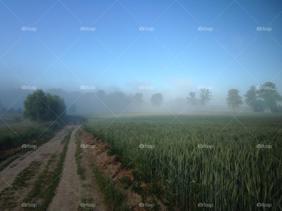 Landscape, No Person, Rural, Sky, Countryside