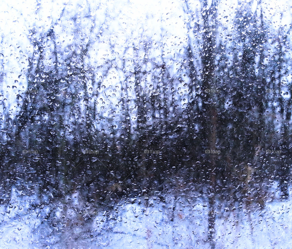 Winter snow drops on car window
