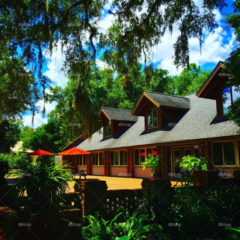 Amrit Yoga Institute, Florida