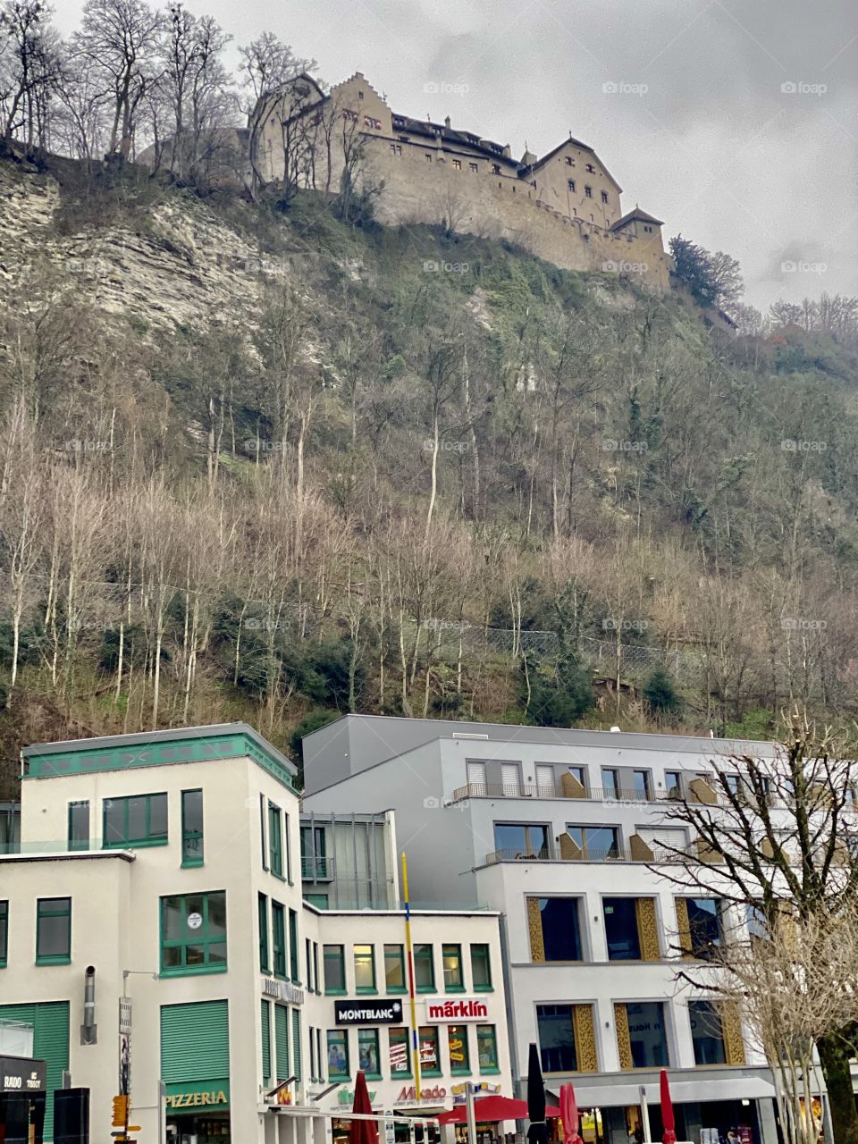 presidential house on the mountain, liechtenstein, castle on the mountain, houses, buildings,