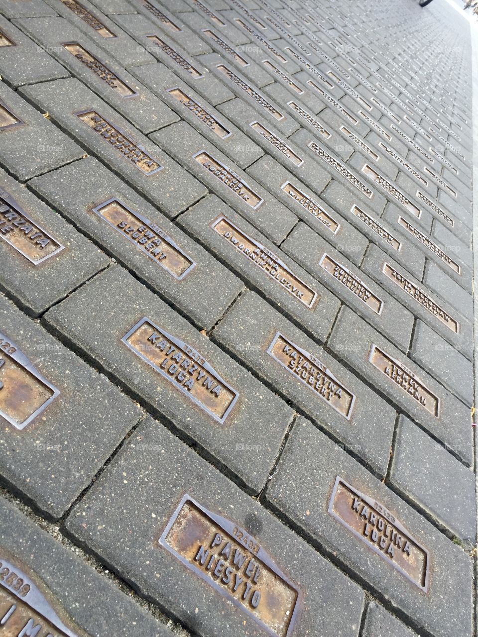 Central alley in Lodz, Poland, covered in names
