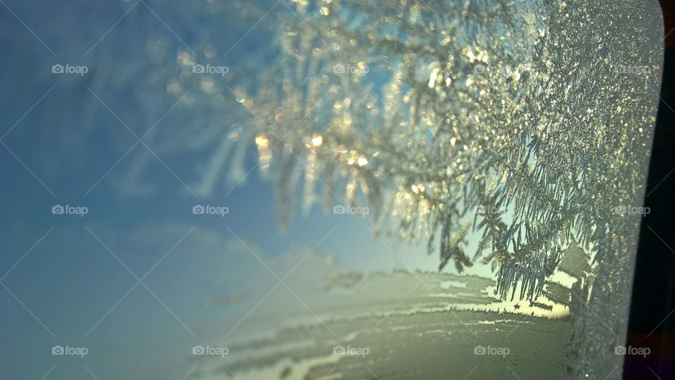 frost on the window