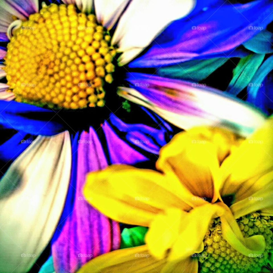 craisydaisy yellow creations